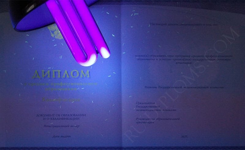 Диплом техникума или колледжа 2014-2025 НОВОГО ОБРАЗЦА 